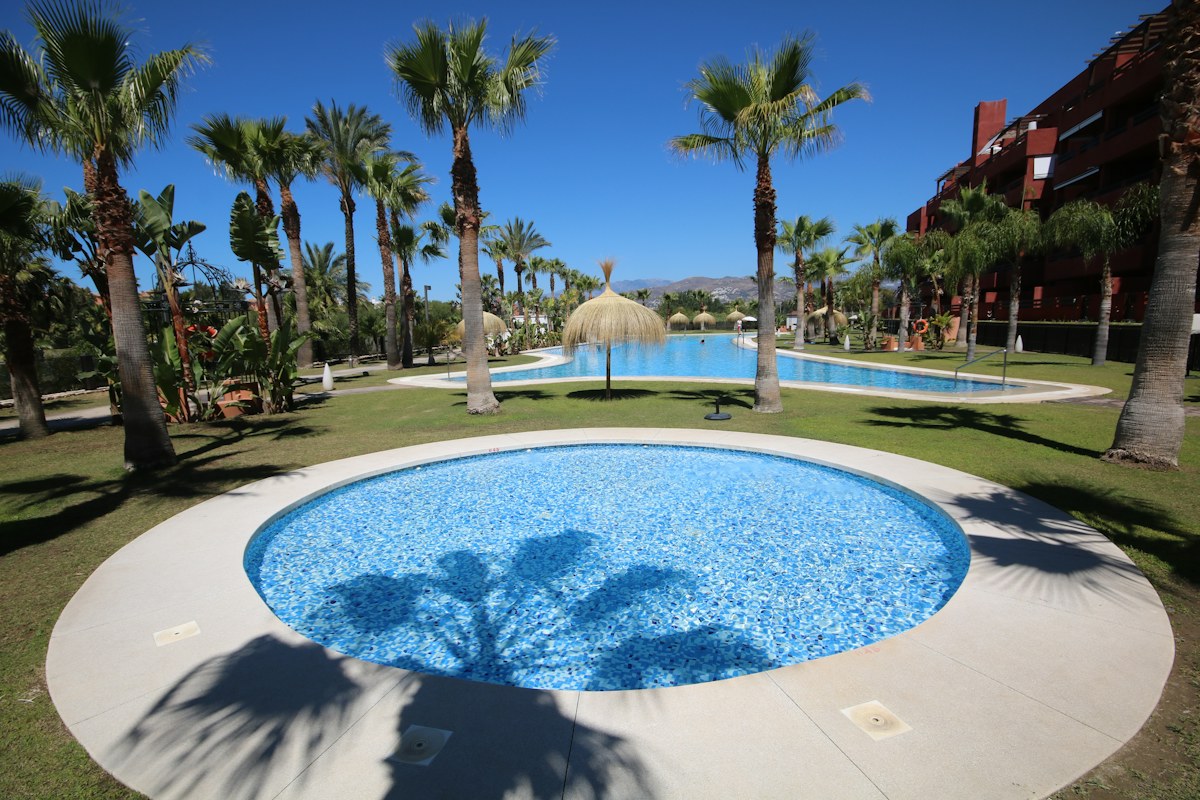 Zonnige buitenruimte met zwembad en palmbomen bij een Spaanse beachclub